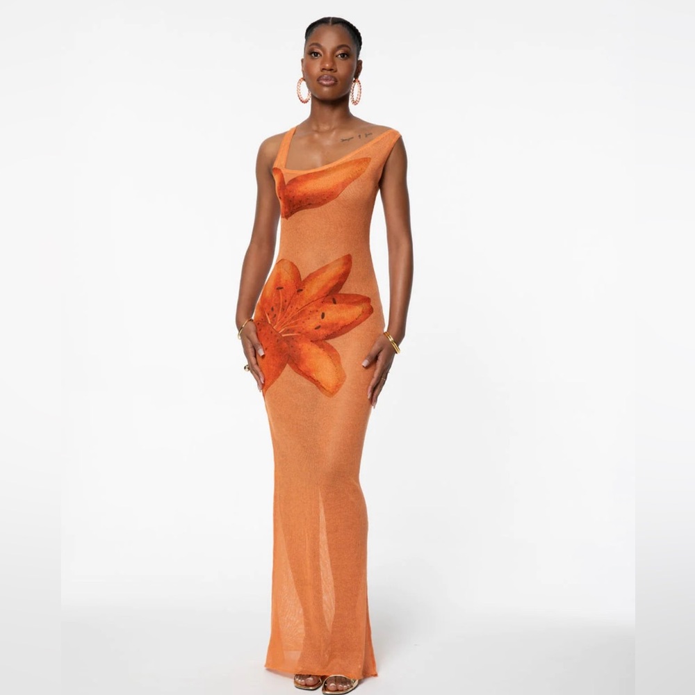 Hanifa Flora Sheer Maxi Dress